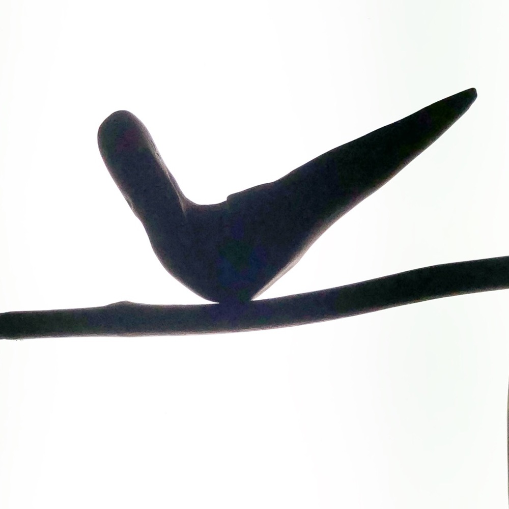 Meet your Posher, Christian